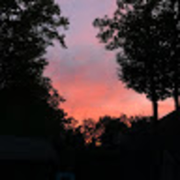 Meet your Posher, Paige - Picture 1 of 1